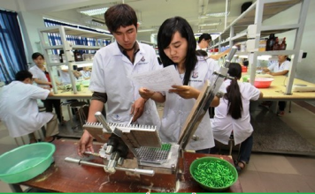 Lớp Y sỹ Y học Cổ truyền tại Yên Bái